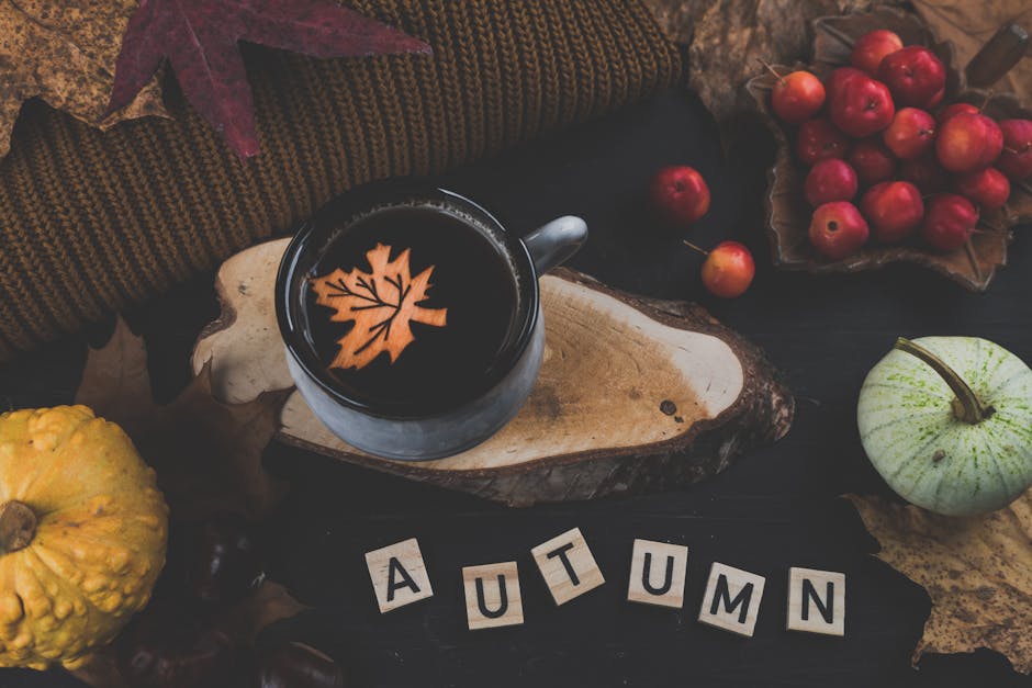Mulled Maple Cider