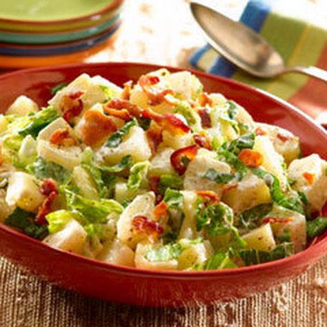 Creamy Potato Gratin with Cheese